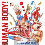 Human Body